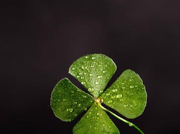 Create Your Own Luck